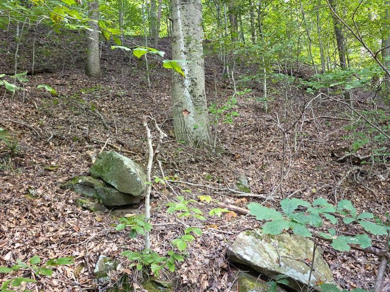 0 Tucker Road, Unit (Tract D a, New Straitsville, OH 43766 Photo 20