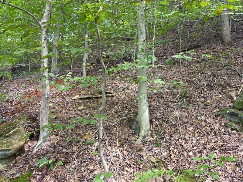 0 Tucker Road, Unit (Tract D a, New Straitsville, OH 43766 Photo 21