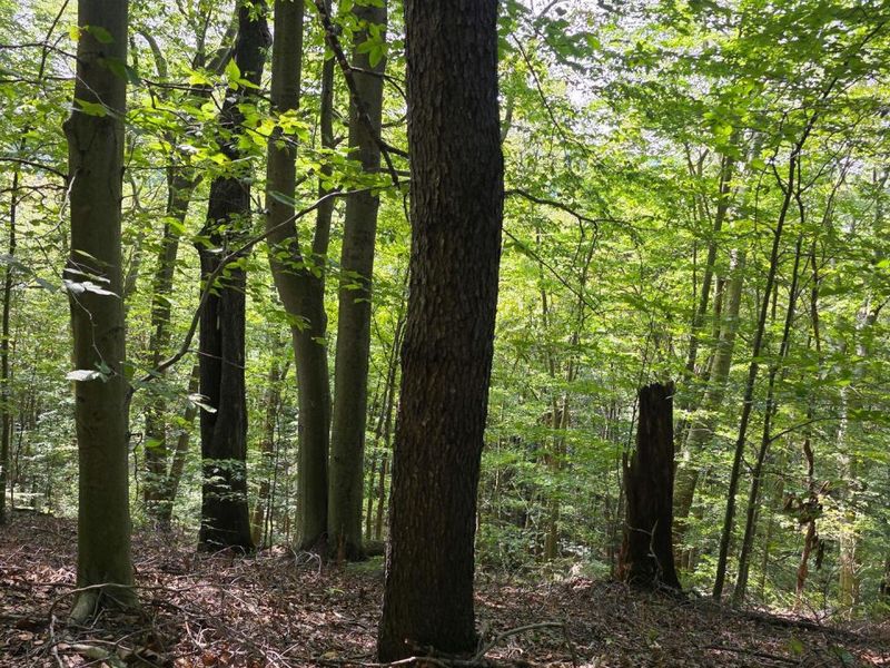 0 Tucker Road, Unit (Tract D a, New Straitsville, OH 43766 Photo 22