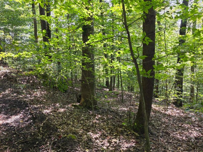 0 Tucker Road, Unit (Tract D a, New Straitsville, OH 43766 Photo 24