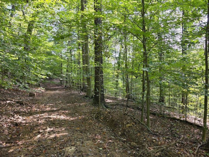 0 Tucker Road, Unit (Tract D a, New Straitsville, OH 43766 Photo 25