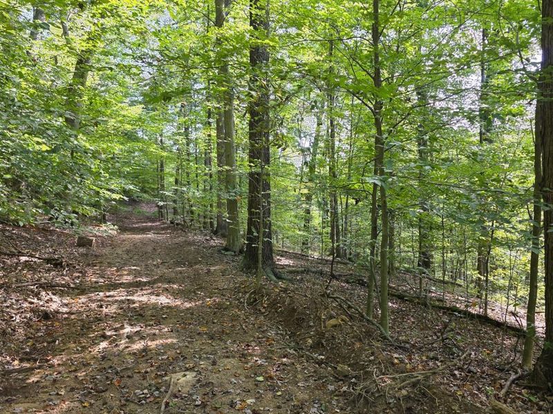 0 Tucker Road, Unit (Tract D a, New Straitsville, OH 43766 Photo 26