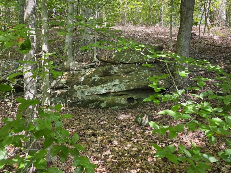 0 Tucker Road, Unit (Tract D a, New Straitsville, OH 43766 Photo 27