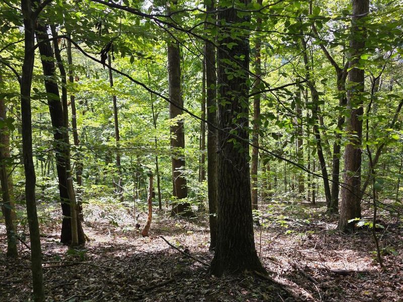 0 Tucker Road, Unit (Tract D a, New Straitsville, OH 43766 Photo 28