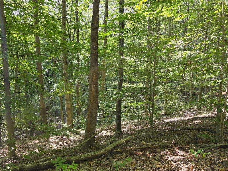 0 Tucker Road, Unit (Tract D a, New Straitsville, OH 43766 Photo 30