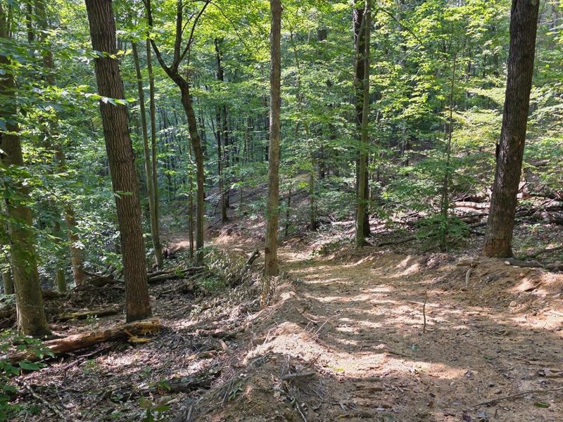 0 Tucker Road, Unit (Tract D a, New Straitsville, OH 43766 Photo 31