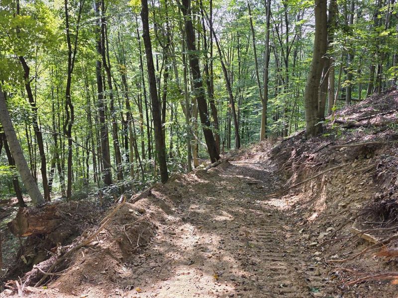 0 Tucker Road, Unit (Tract D a, New Straitsville, OH 43766 Photo 34