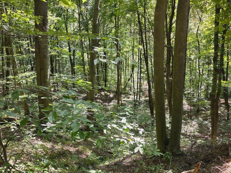 0 Tucker Road, Unit (Tract D a, New Straitsville, OH 43766 Photo 35