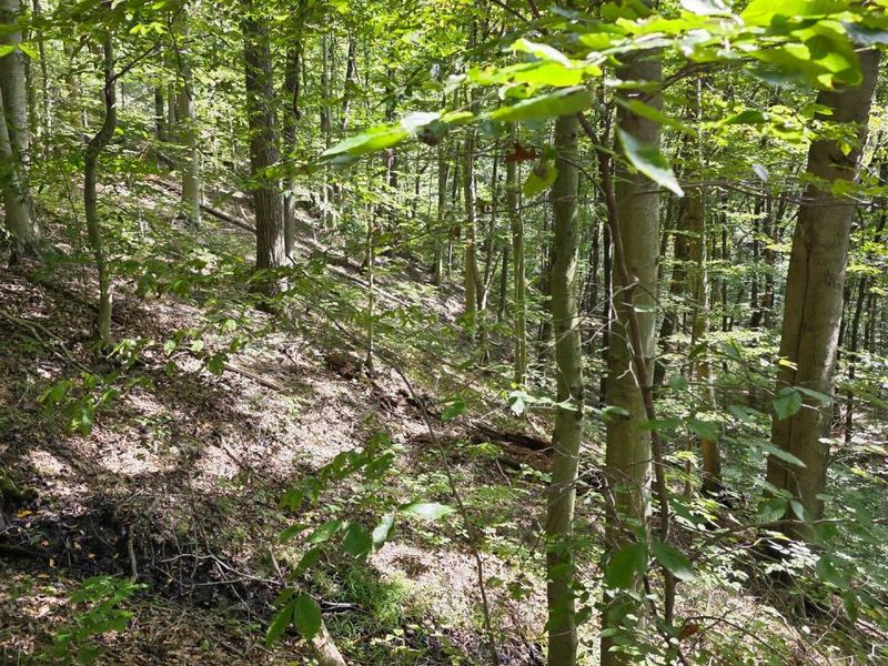 0 Tucker Road, Unit (Tract D a, New Straitsville, OH 43766 Photo 36