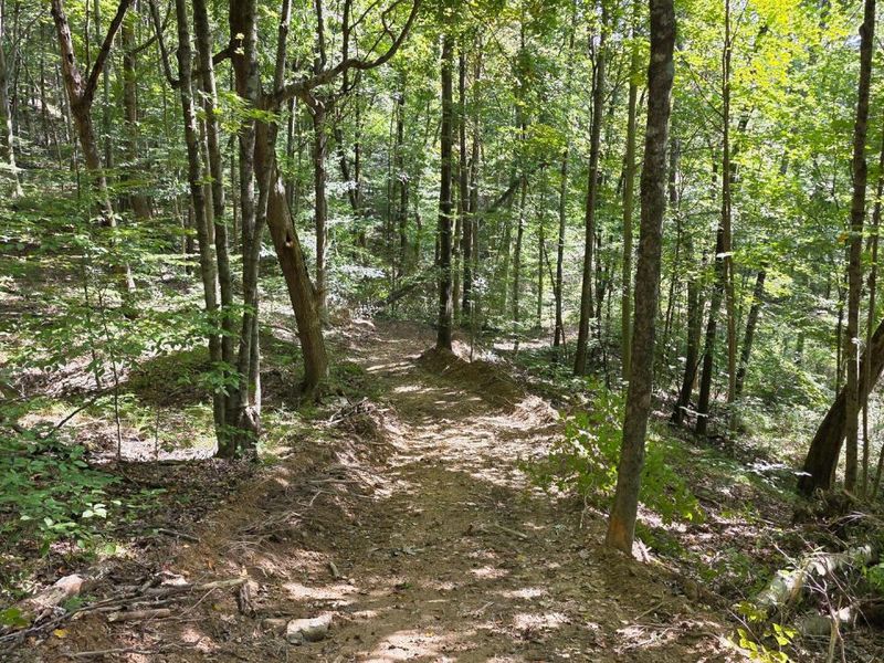 0 Tucker Road, Unit (Tract D a, New Straitsville, OH 43766 Photo 38