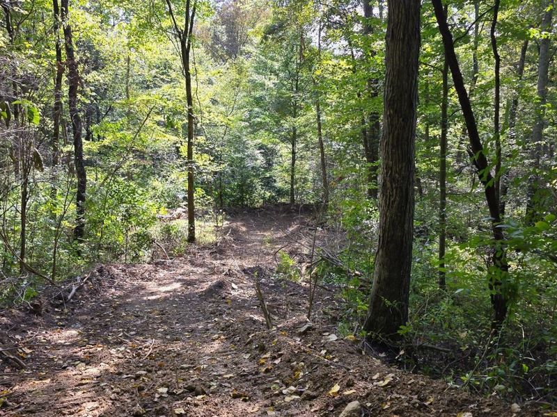 0 Tucker Road, Unit (Tract D a, New Straitsville, OH 43766 Photo 39