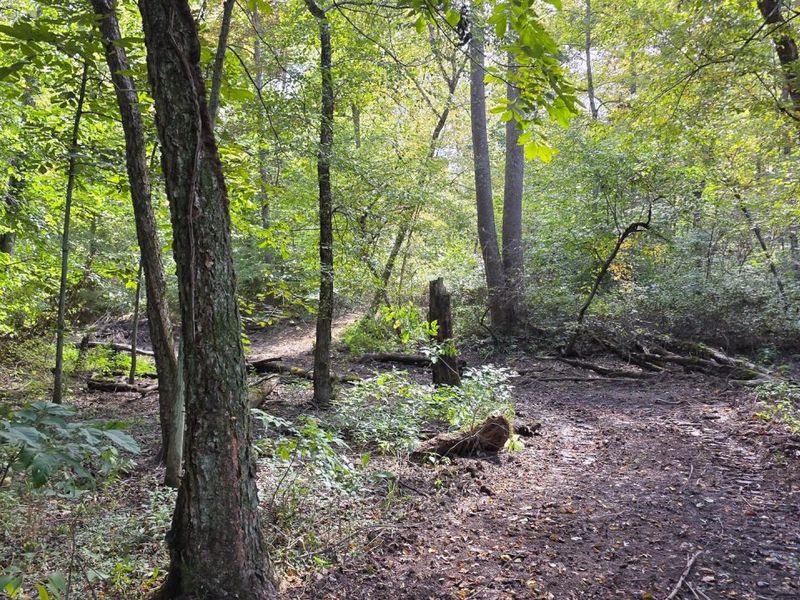 0 Tucker Road, Unit (Tract D a, New Straitsville, OH 43766 Photo 40