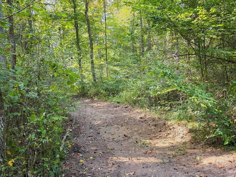 0 Tucker Road, Unit (Tract D a, New Straitsville, OH 43766 Photo 41