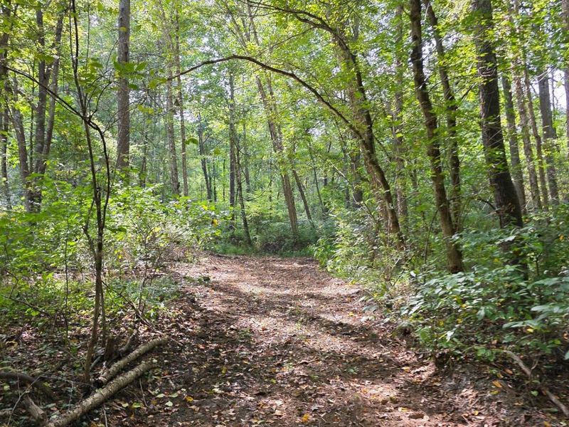 0 Tucker Road, Unit (Tract D a, New Straitsville, OH 43766 Photo 43