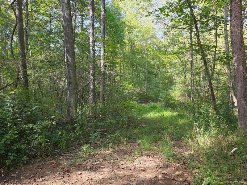 0 Tucker Road, Unit (Tract D a, New Straitsville, OH 43766 Photo 44