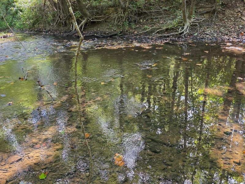 0 Tucker Road, Unit (Tract D a, New Straitsville, OH 43766 Photo 47