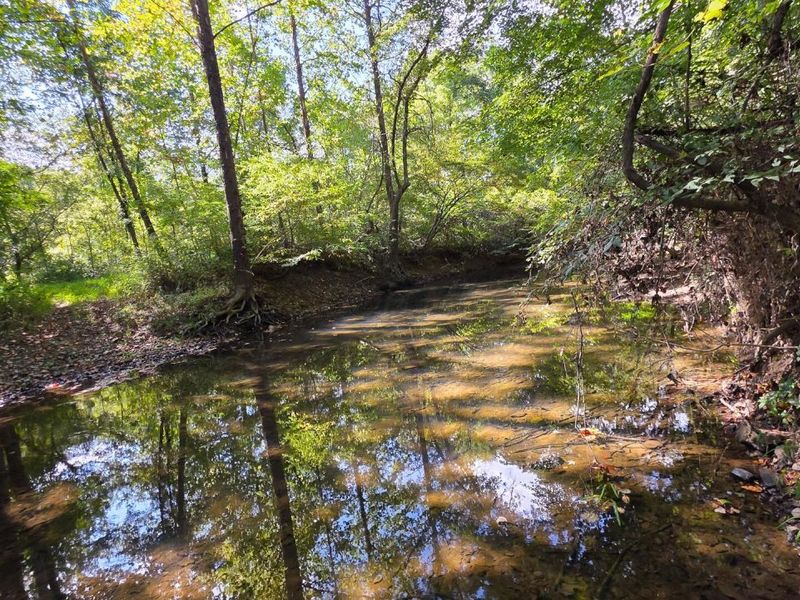 0 Tucker Road, Unit (Tract D a, New Straitsville, OH 43766 Photo 50