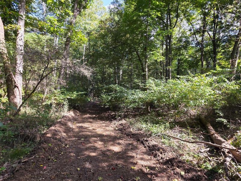 0 Tucker Road, Unit (Tract D a, New Straitsville, OH 43766 Photo 51