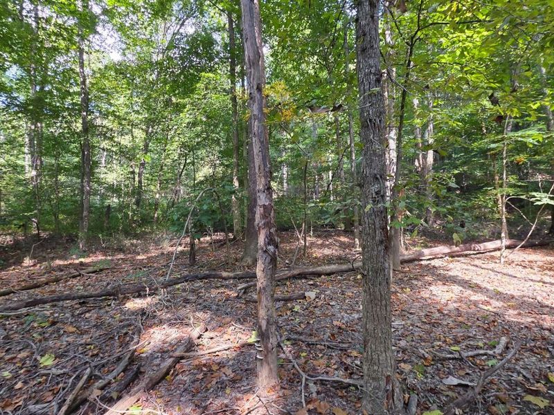 0 Tucker Road, Unit (Tract D a, New Straitsville, OH 43766 Photo 53