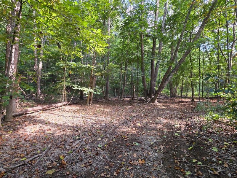 0 Tucker Road, Unit (Tract D a, New Straitsville, OH 43766 Photo 54