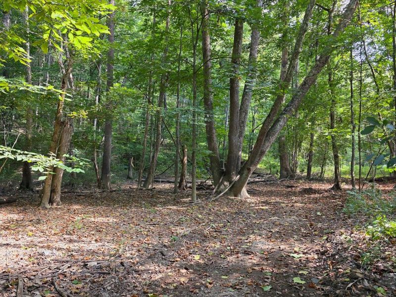 0 Tucker Road, Unit (Tract D a, New Straitsville, OH 43766 Photo 55