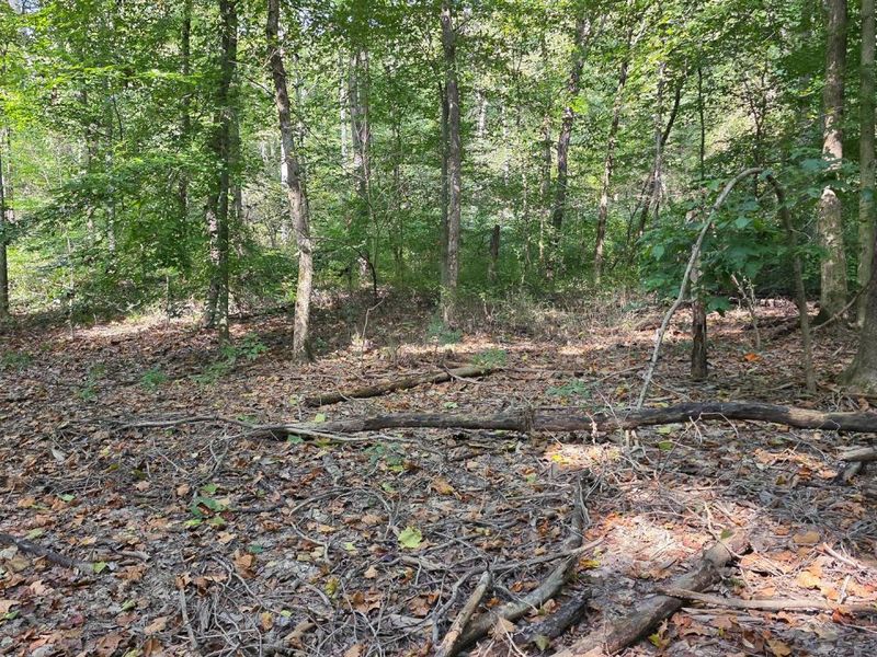 0 Tucker Road, Unit (Tract D a, New Straitsville, OH 43766 Photo 56