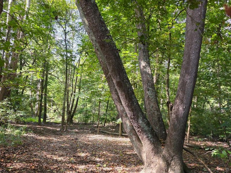 0 Tucker Road, Unit (Tract D a, New Straitsville, OH 43766 Photo 57