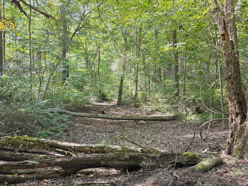 0 Tucker Road, Unit (Tract D a, New Straitsville, OH 43766 Photo 58