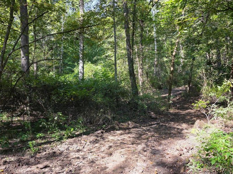 0 Tucker Road, Unit (Tract D a, New Straitsville, OH 43766 Photo 59