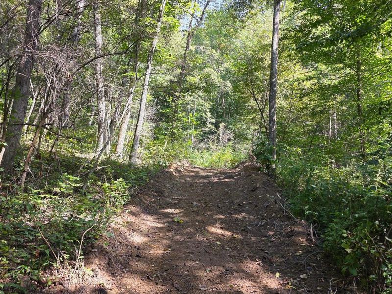 0 Tucker Road, Unit (Tract D a, New Straitsville, OH 43766 Photo 60