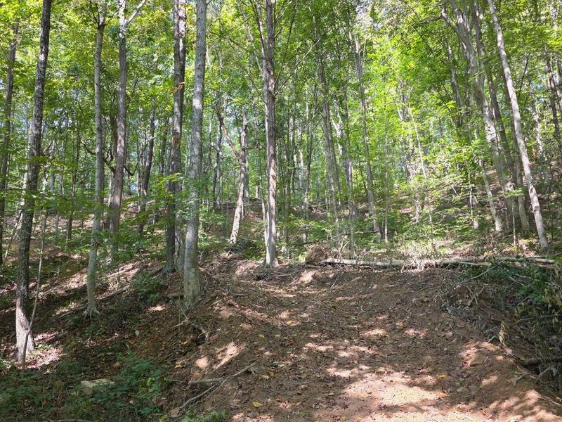 0 Tucker Road, Unit (Tract D a, New Straitsville, OH 43766 Photo 61