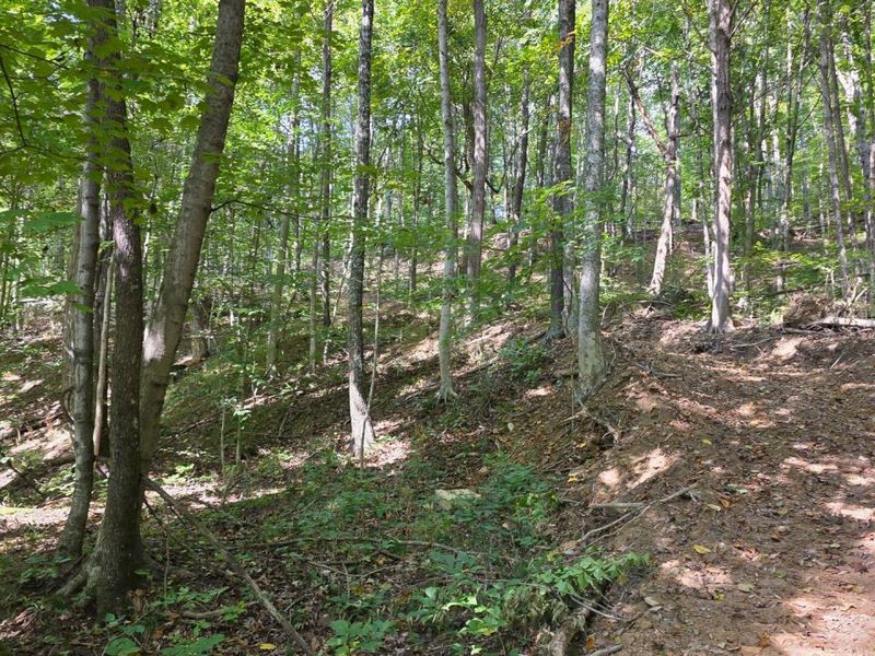 0 Tucker Road, Unit (Tract D a, New Straitsville, OH 43766 Photo 62