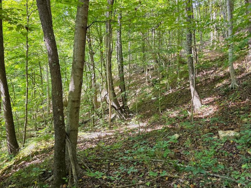 0 Tucker Road, Unit (Tract D a, New Straitsville, OH 43766 Photo 63