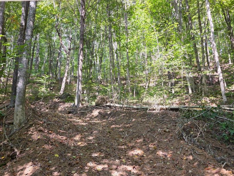 0 Tucker Road, Unit (Tract D a, New Straitsville, OH 43766 Photo 64