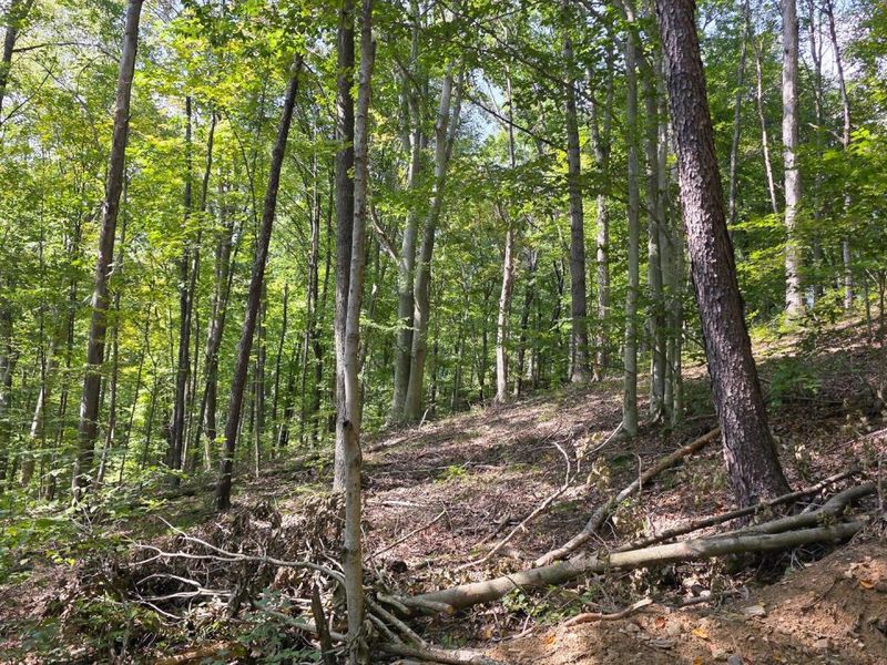 0 Tucker Road, Unit (Tract D a, New Straitsville, OH 43766 Photo 65