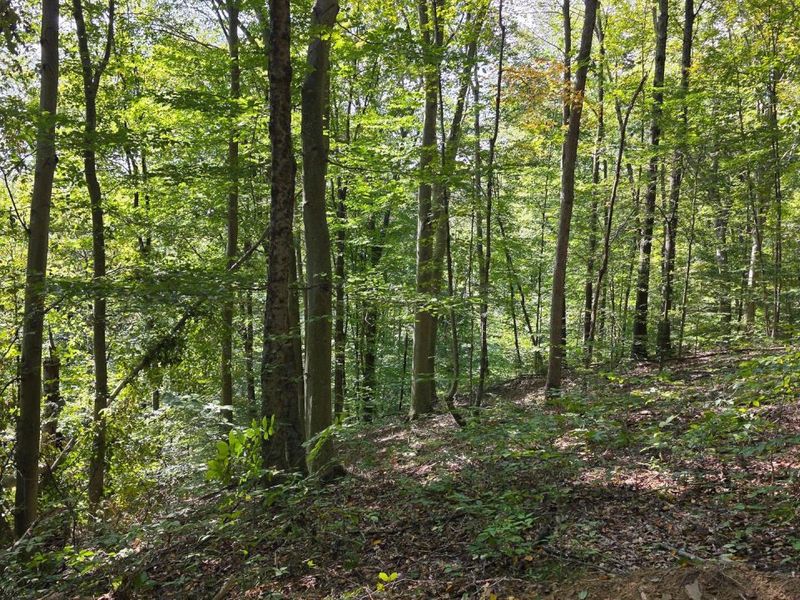 0 Tucker Road, Unit (Tract D a, New Straitsville, OH 43766 Photo 66