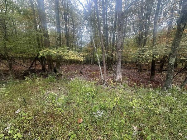 Lots 27 & 28 Alpine Drive, Terra Alta, WV 26764
