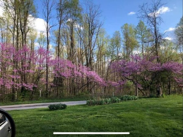 9700 N Bowman Road, Gosport, IN 47433