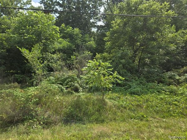 V/L Field Road, Vienna Twp, MI 48420