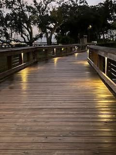 130 River Landing Drive Photo 58