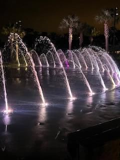 130 River Landing Drive Photo 60