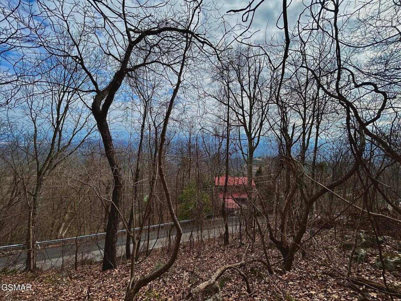 2373 Bluff Mountain Rd Road, Sevierville, TN 37876 Main Photo