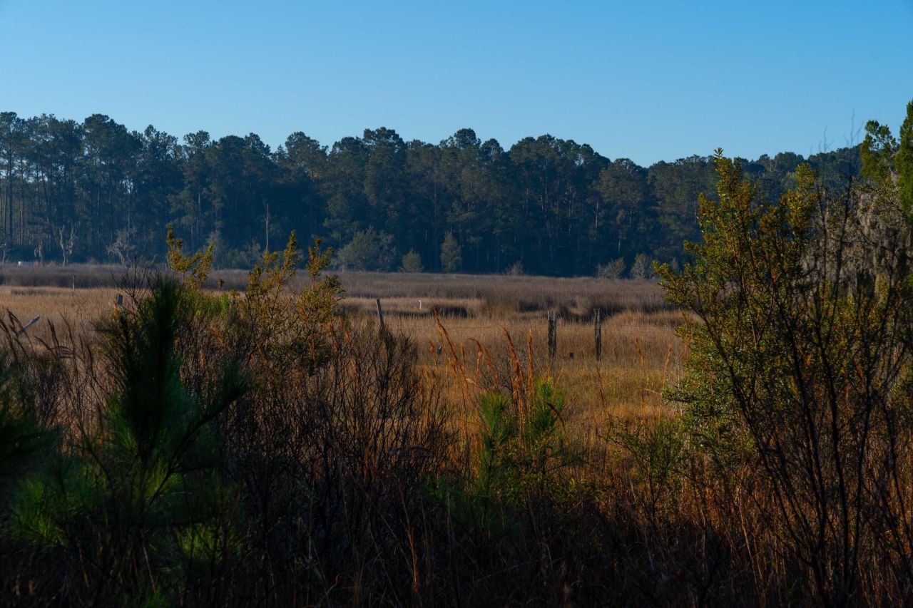 0 Rushland Landing  Photo 12