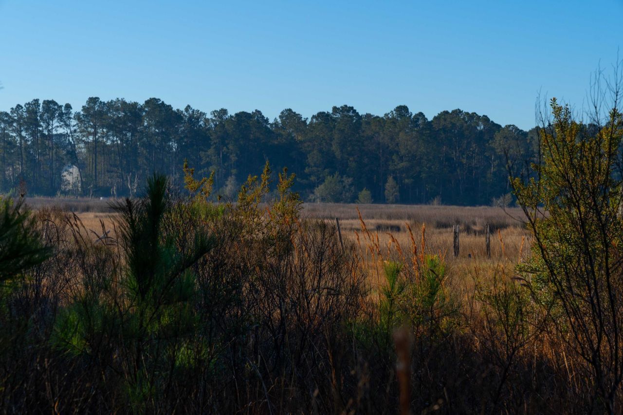 0 Rushland Landing  Photo 13