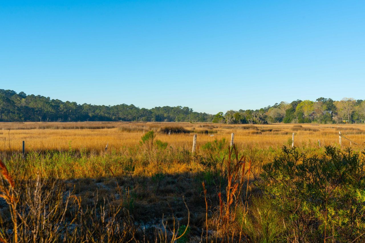 0 Rushland Landing  Photo 16