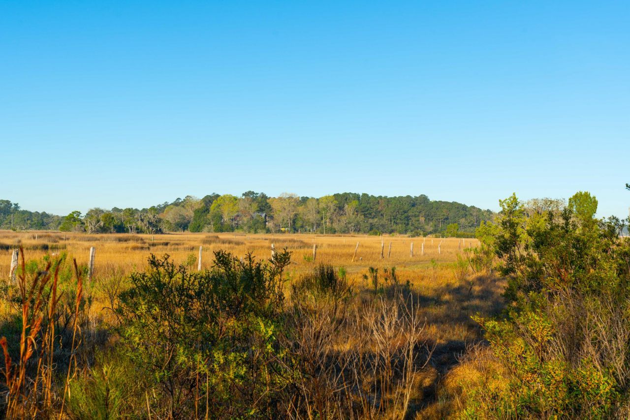 0 Rushland Landing  Photo 17