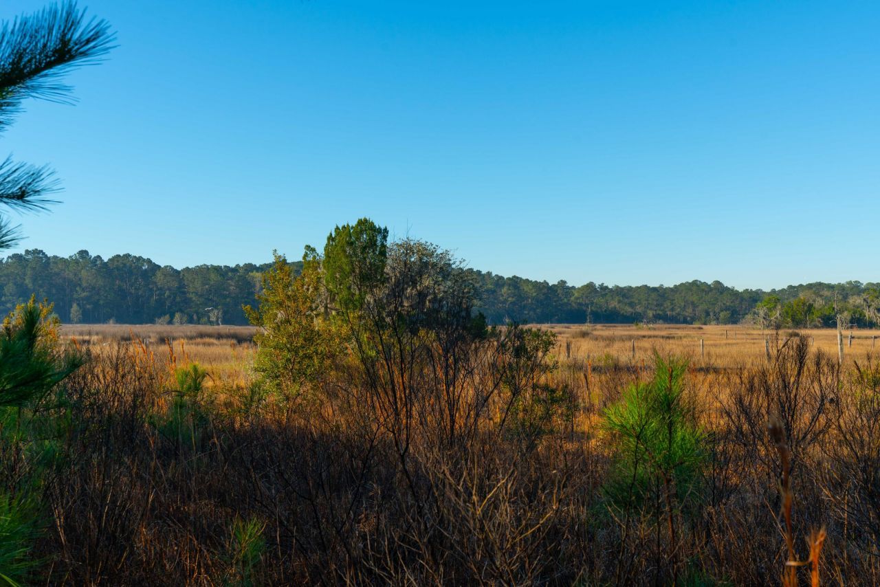 0 Rushland Landing  Photo 19