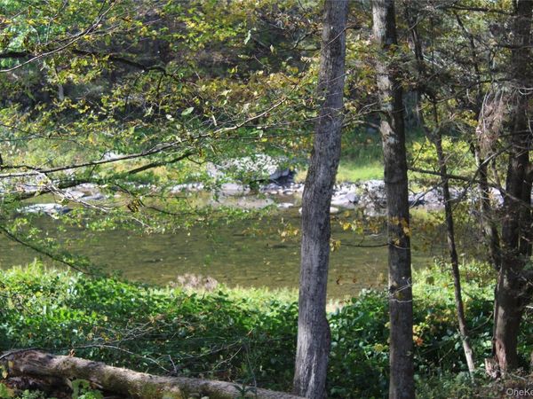 Peakville Road, Roscoe, NY 13783