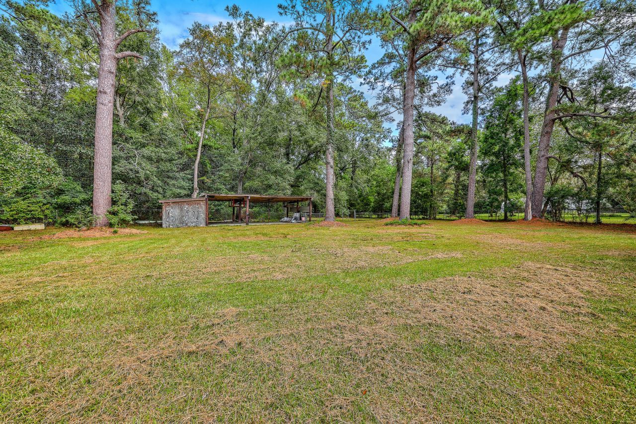 1229 Central Avenue Photo 17