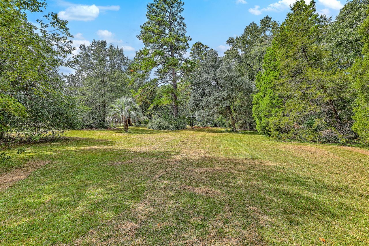 1229 Central Avenue Photo 6